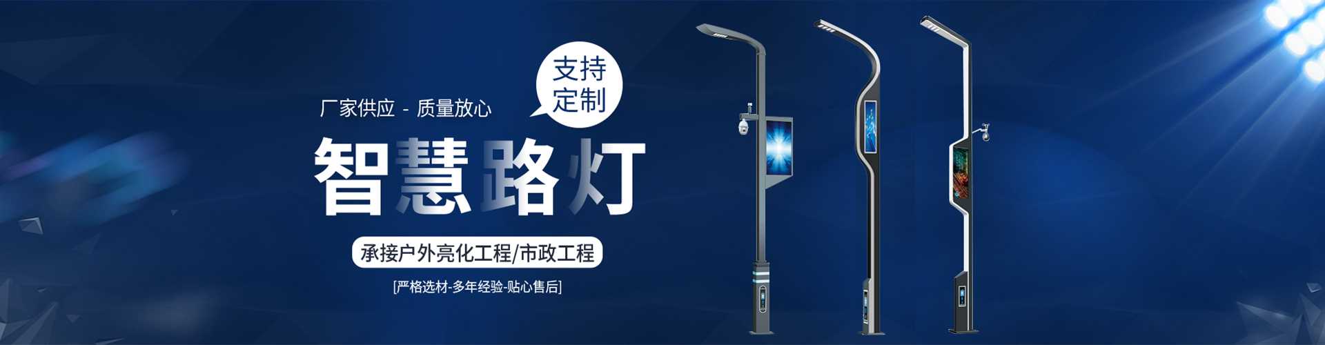 郸城县太阳能路灯定制厂家