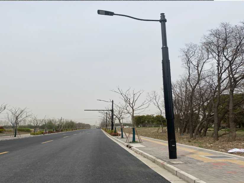 郸城县上海综合杆 太阳能路灯工程